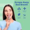 Tongue Scraper For Adults – Dual Head Stainless Steel Tongue Cleaner Travel Metal Case | Bad Breath Mouth Treatment | Best Disposable Metal Plastic-Free Scrubber | Oral Care Hygiene Essential Kit, 2pk(Solo Scrape)